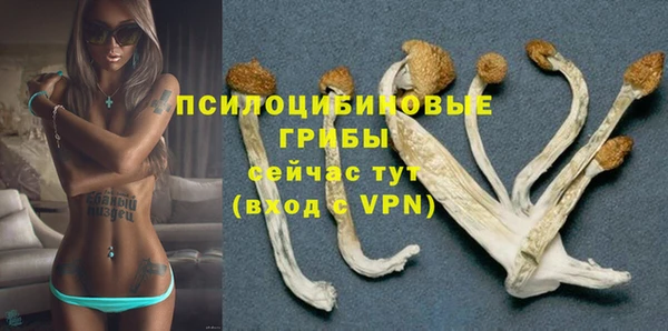 бутират Инсар