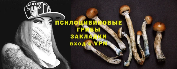 не бодяженный Алексин