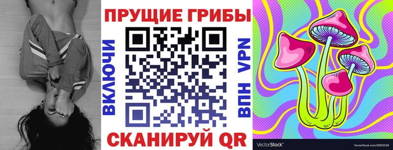 купить  цена  Нарьян-Мар  blacksprut как войти  Псилоцибиновые грибы Cubensis 